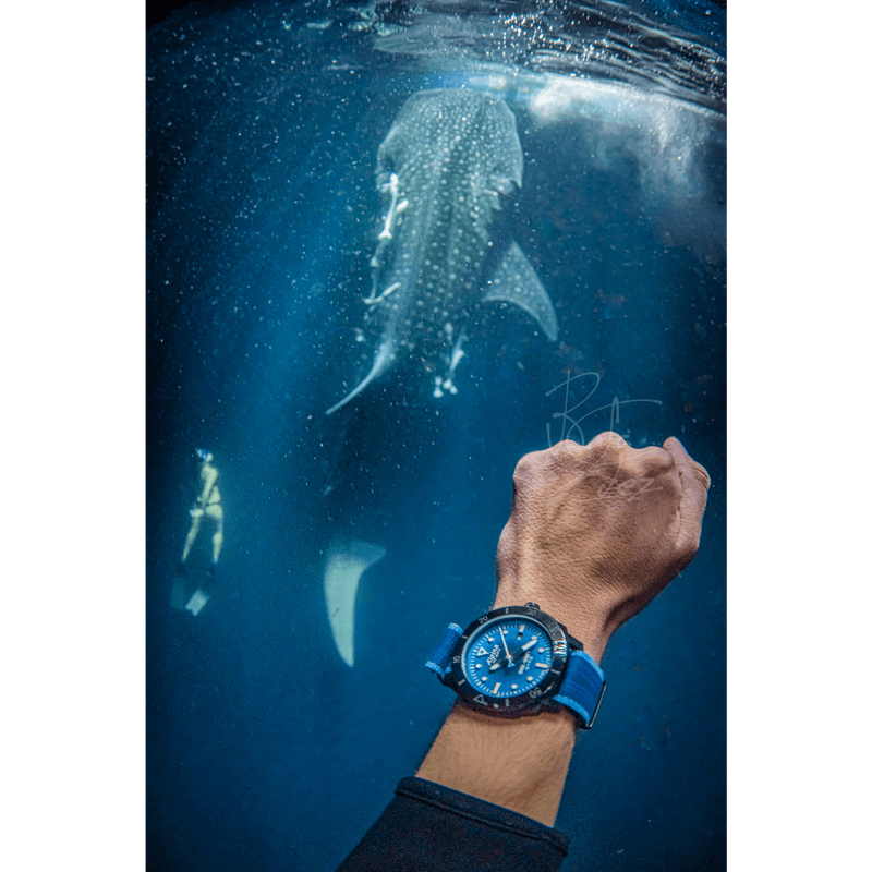 SEASTRONG DIVER GYRE AUTOMATIC