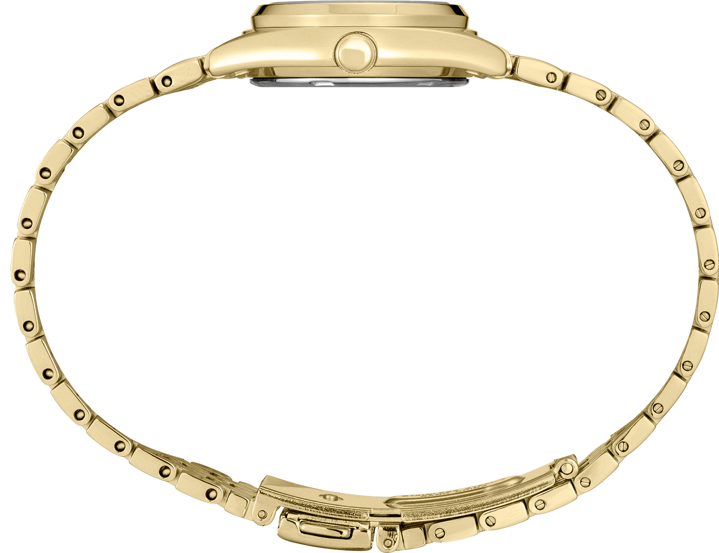 SUR440 Essentials Collection