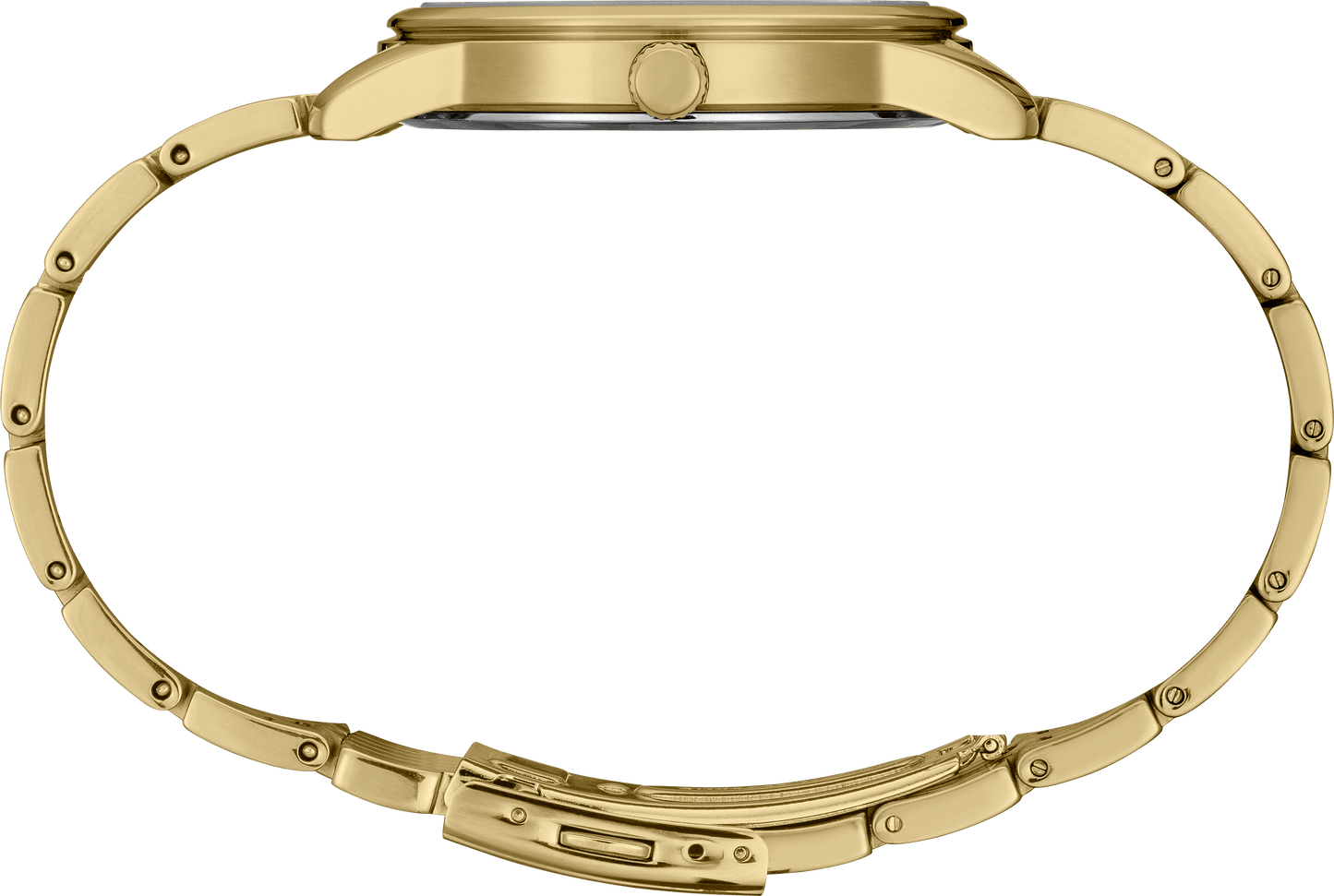 SUR442 Essentials Collection