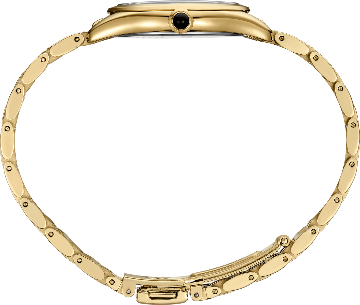 SUR538 Essentials Collection