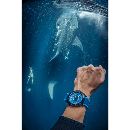 SEASTRONG DIVER GYRE AUTOMATIC